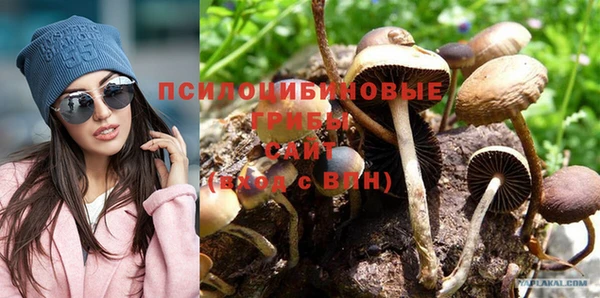 сатива Алексеевка