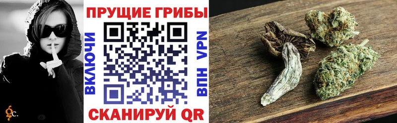 Галлюциногенные грибы Magic Shrooms Волгоград