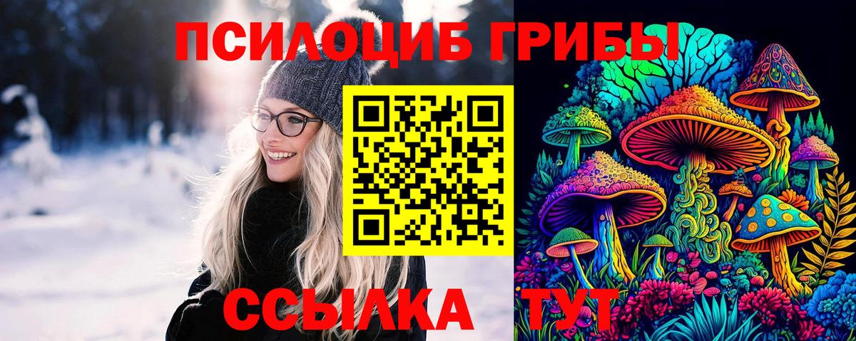 Псилоцибиновые грибы мухоморы Волгоград