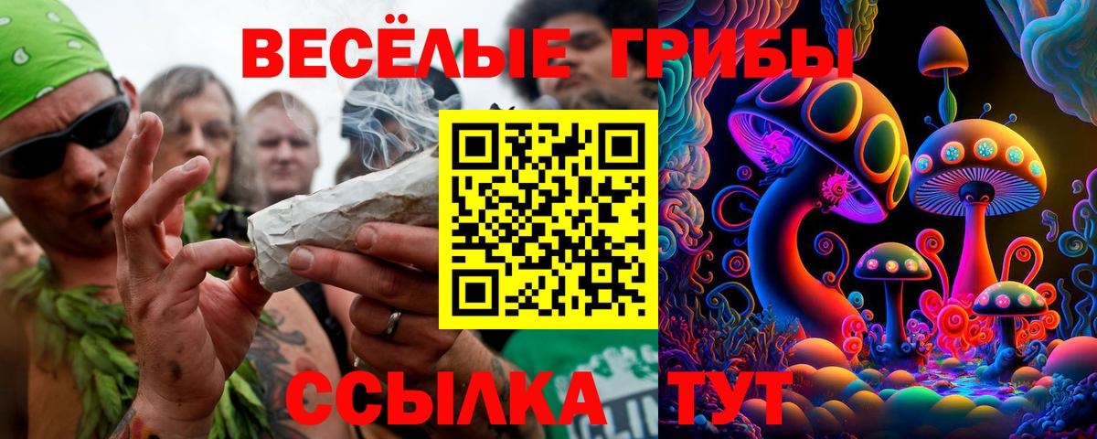 что такое   Вход с VPN  Волгоград  Псилоцибиновые грибы Psilocybe 