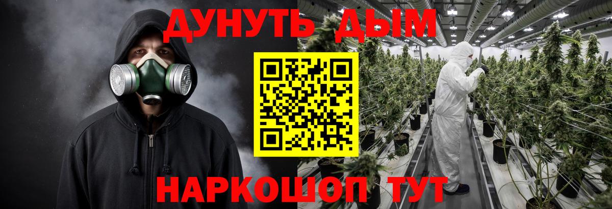 Каннабис планчик  Бошки марихуана семена  Волгоград  Канабис индика  Вход с VPN  Каннабис Ganja 